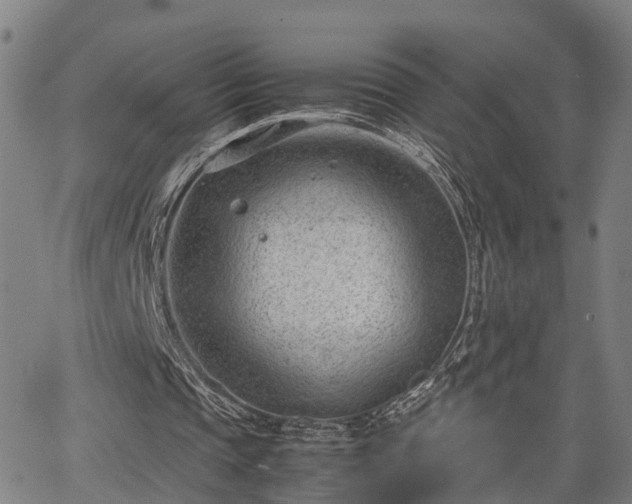 X0000064750337200602131232