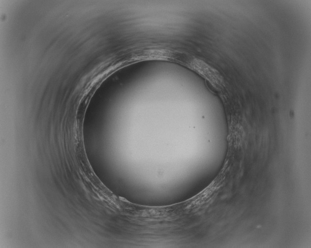 X0000064750338200602131232