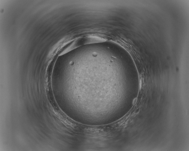 X0000064750339200602131232