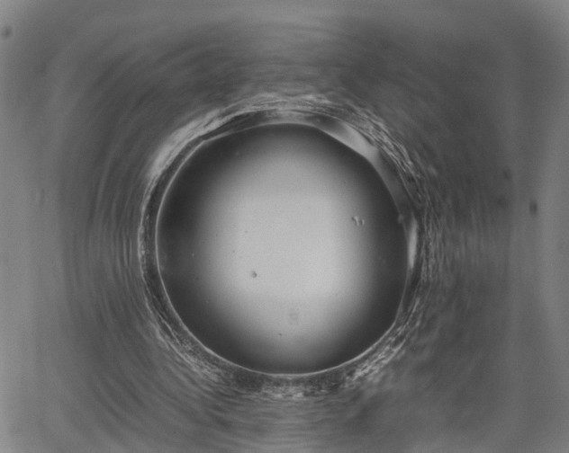 X0000064750340200602131232