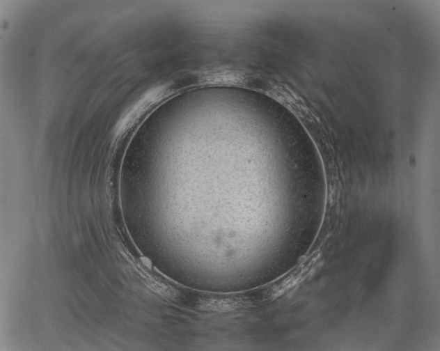 X0000064750341200602131232