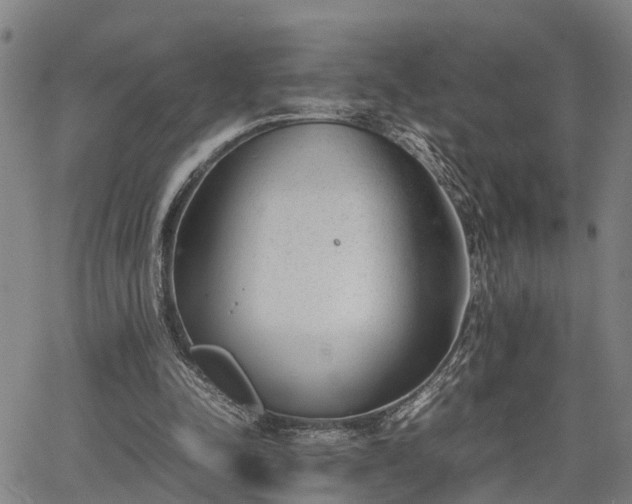 X0000064750342200602131232