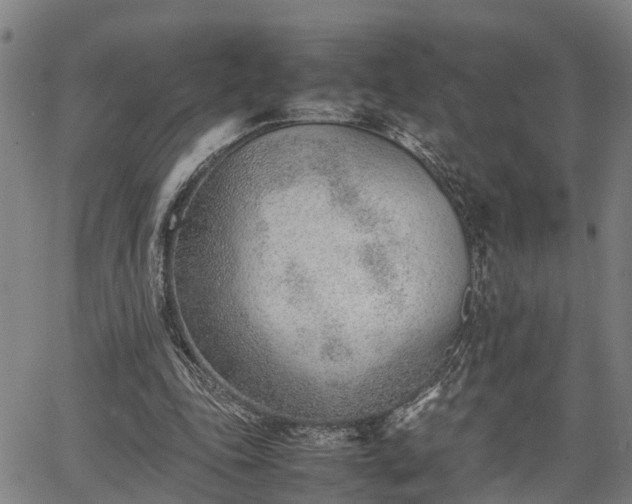 X0000064750343200602131232