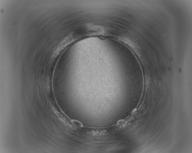 X0000064750345200602131232