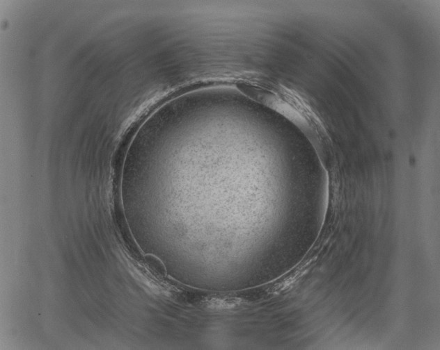 X0000064750346200602131232