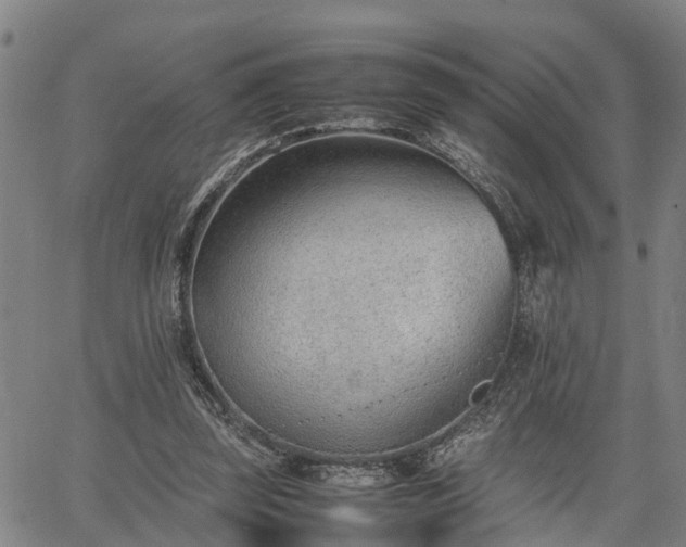 X0000064750347200602131232