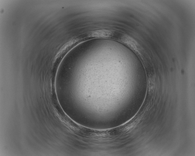 X0000064750349200602131232