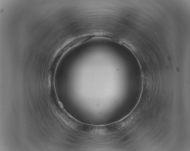 X0000064750350200602131232