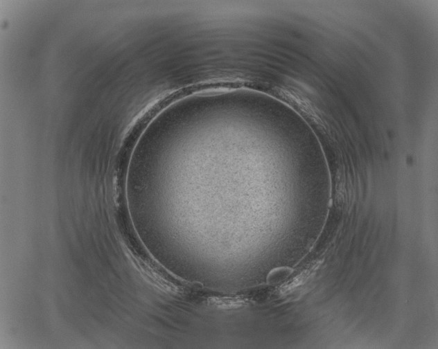 X0000064750351200602131232