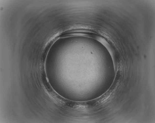 X0000064750352200602131232