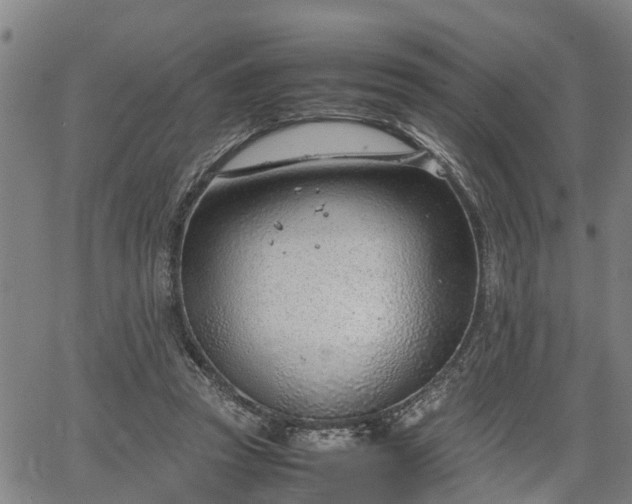 X0000064750353200602131232