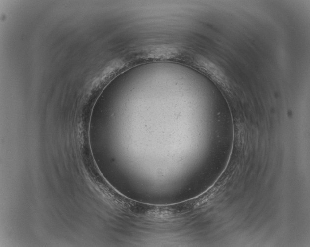 X0000064750354200602131232