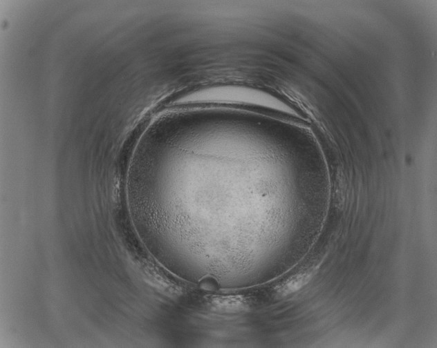 X0000064750355200602131232