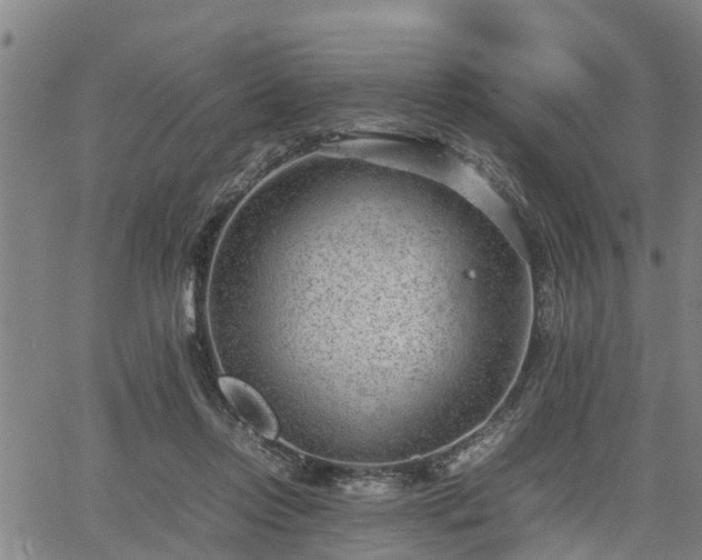 X0000064750358200602131232