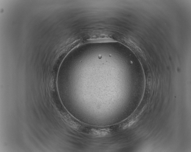 X0000064750359200602131232