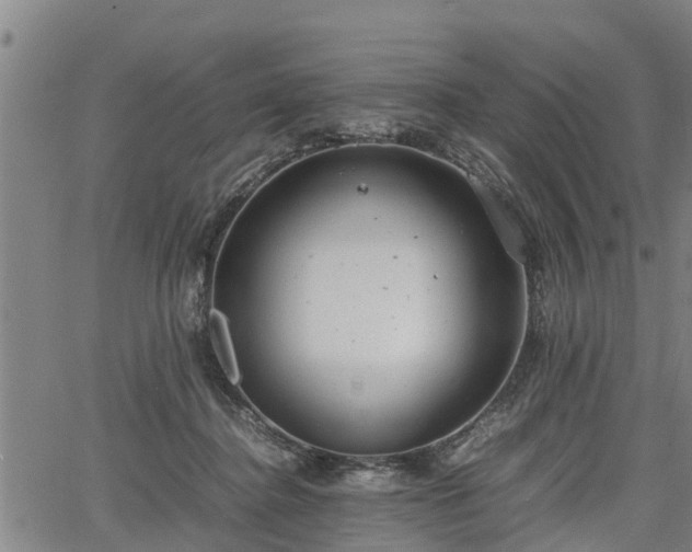 X0000064750364200602131232