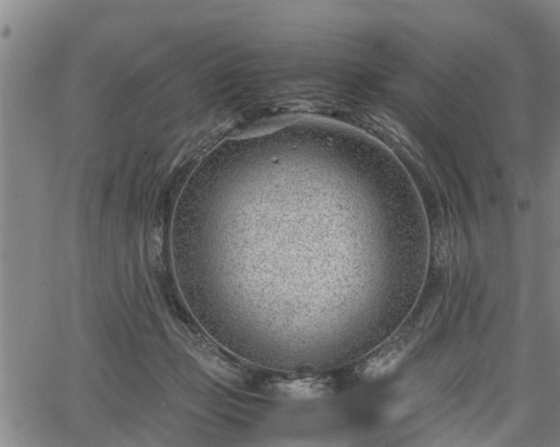 X0000064750365200602131232