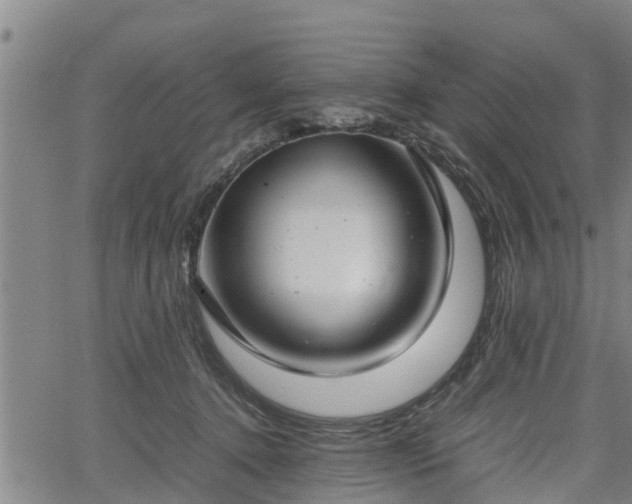 X0000064750368200602131232