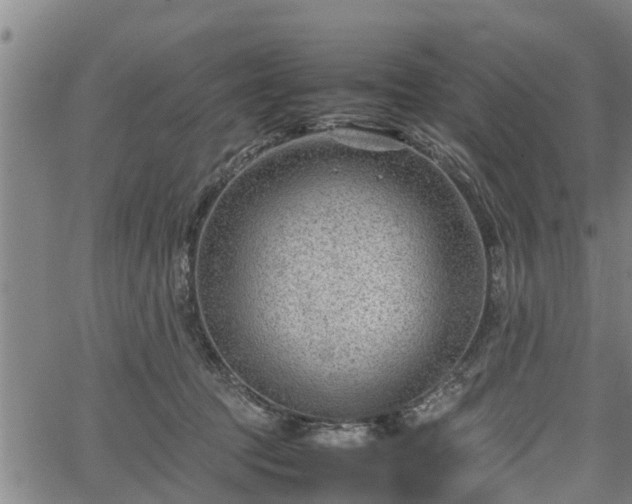 X0000064750369200602131232