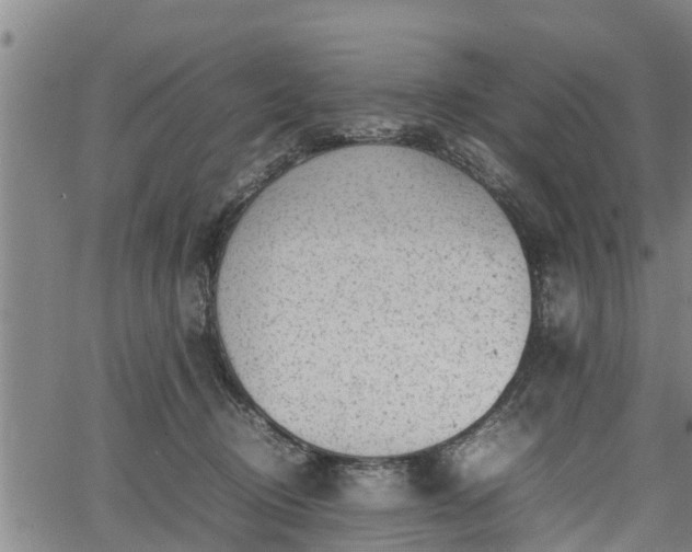 X0000064750370200602131232