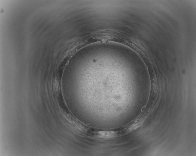 X0000064750371200602131232