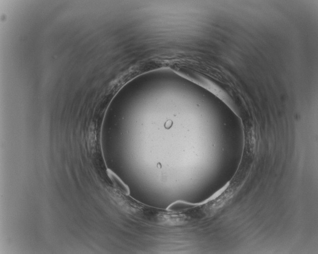 X0000064750372200602131232