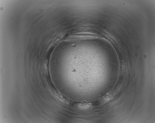 X0000064750373200602131232