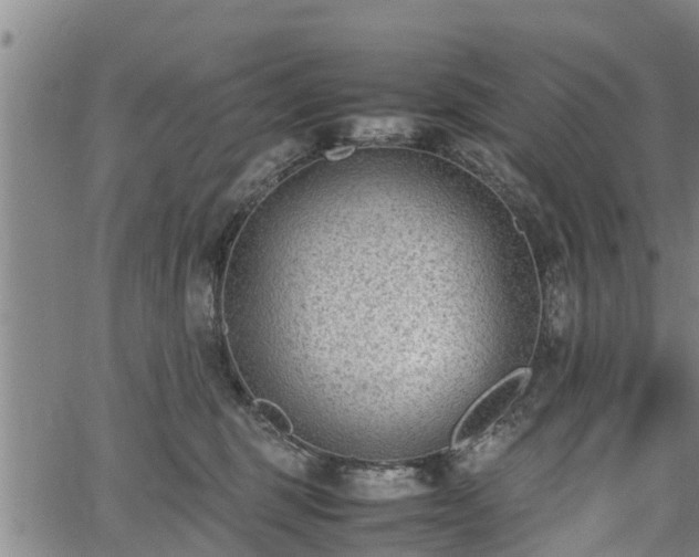 X0000064750375200602131232