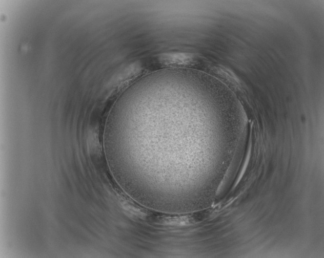 X0000064750377200602131232