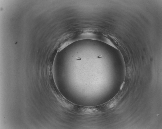 X0000064750379200602131232