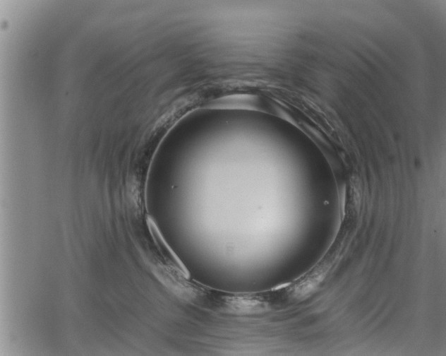 X0000064750380200602131232