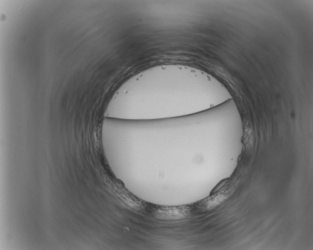 X0000064750381200602131232