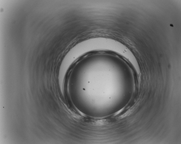 X0000064750382200602131233