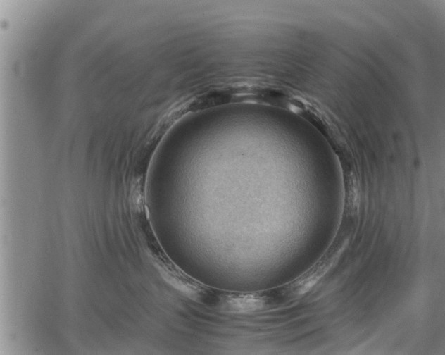 X0000064750383200602131233