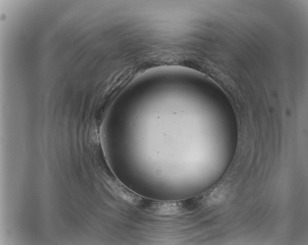 X0000064750384200602131233