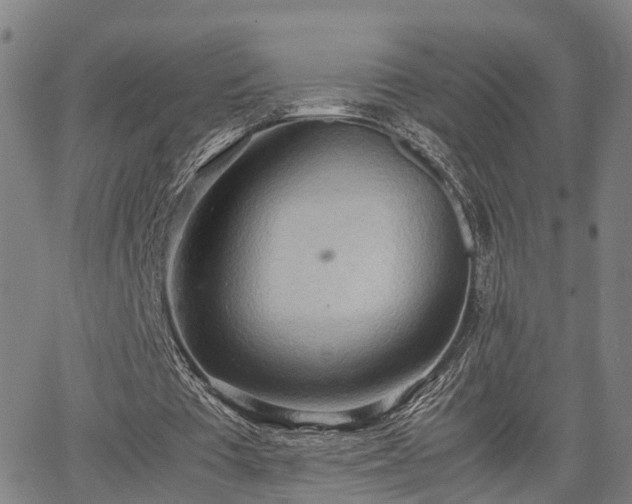 X0000064750385200602131232