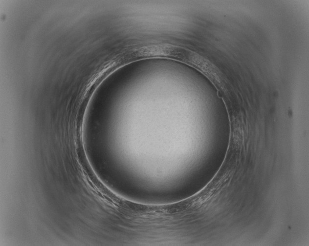 X0000064750386200602131232