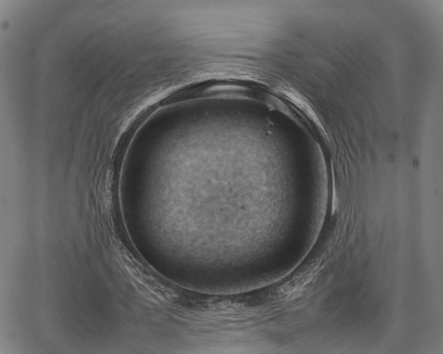 X0000064750387200602131232