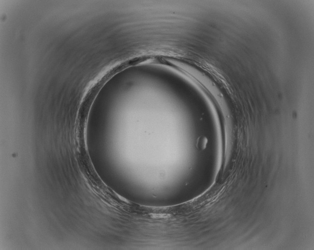 X0000064750388200602131232