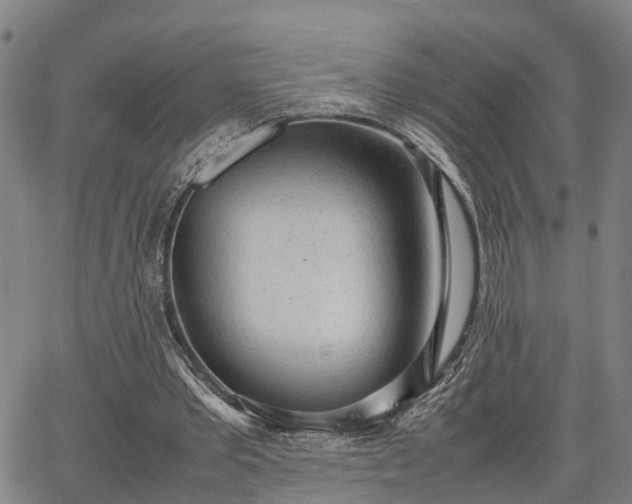 X0000064750389200602131232