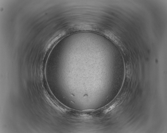 X0000064750390200602131232