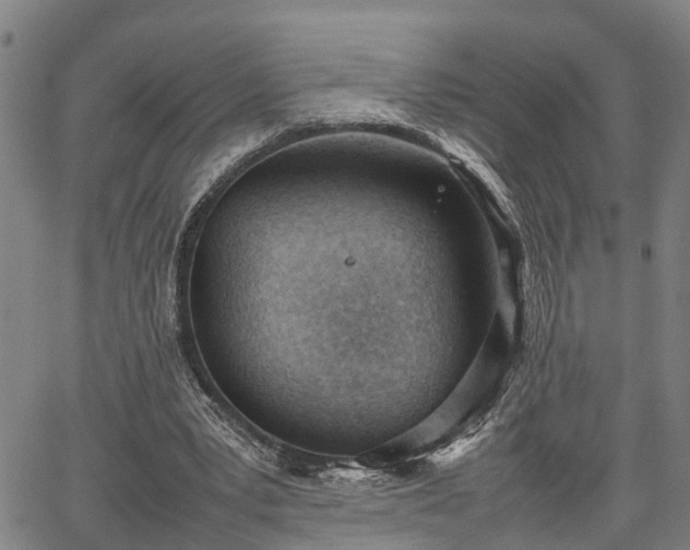 X0000064750391200602131232