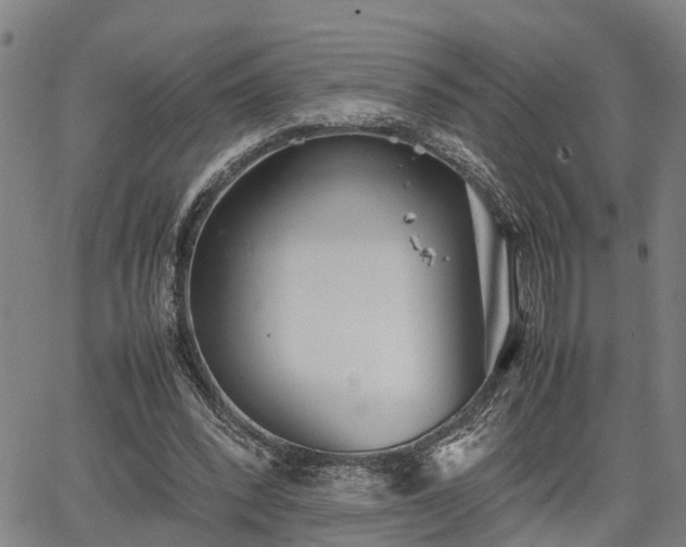 X0000064750392200602131232