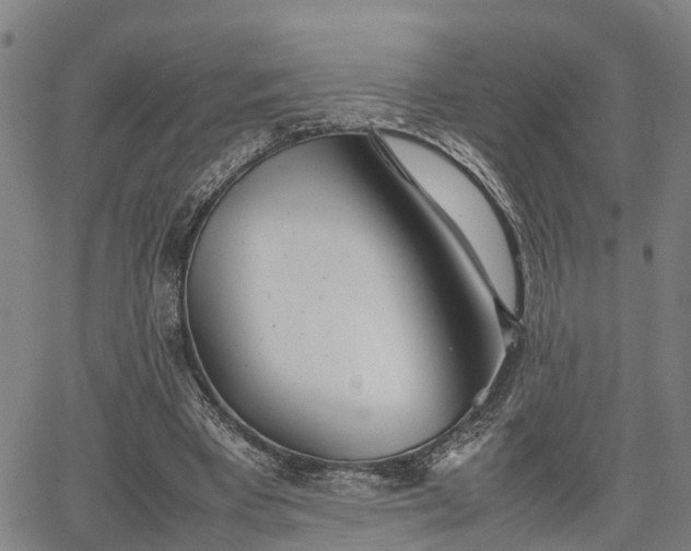 X0000064750393200602131232