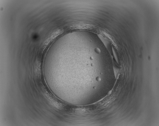 X0000064750394200602131232