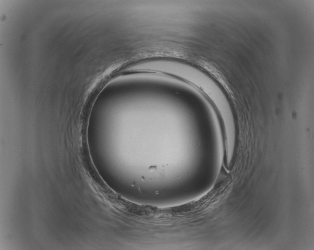 X0000064750395200602131232