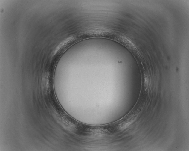 X0000064750396200602131232