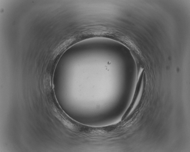 X0000064750397200602131232