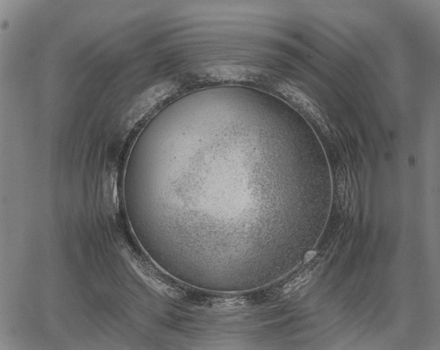 X0000064750398200602131232