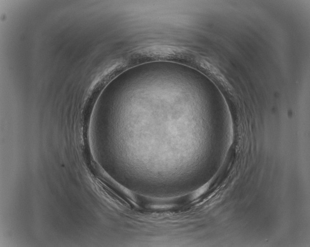 X0000064750399200602131232